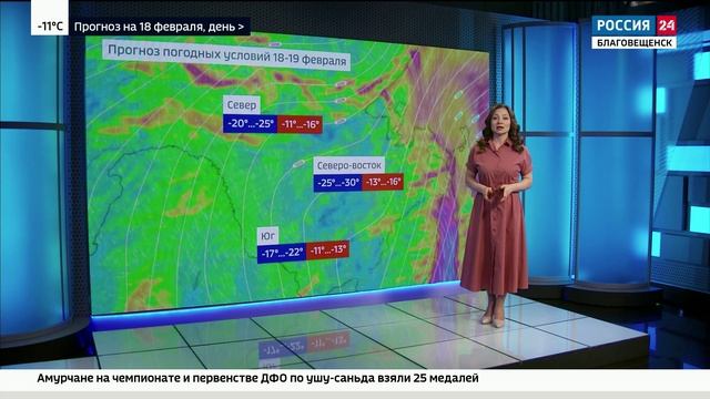 Обзор второй декады февраля.