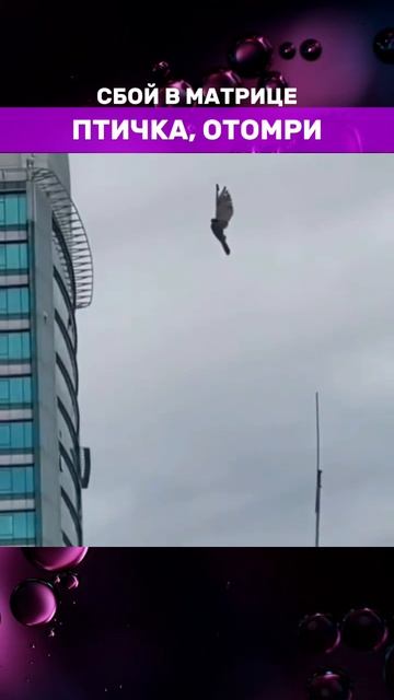 СБОЙ В МАТРИЦЕ