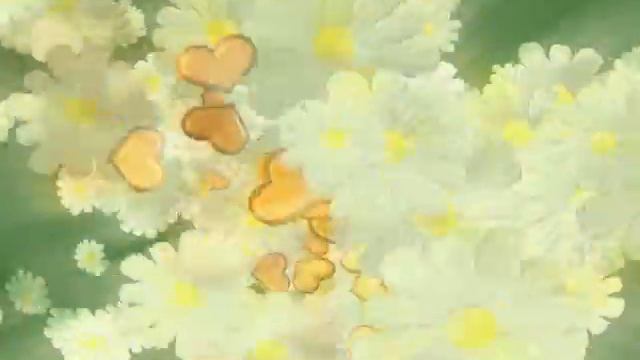 Фон ромашки футажи для видеомонтажа