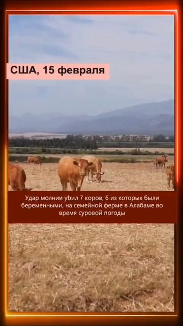 15.02.2025 Что произошло в мире