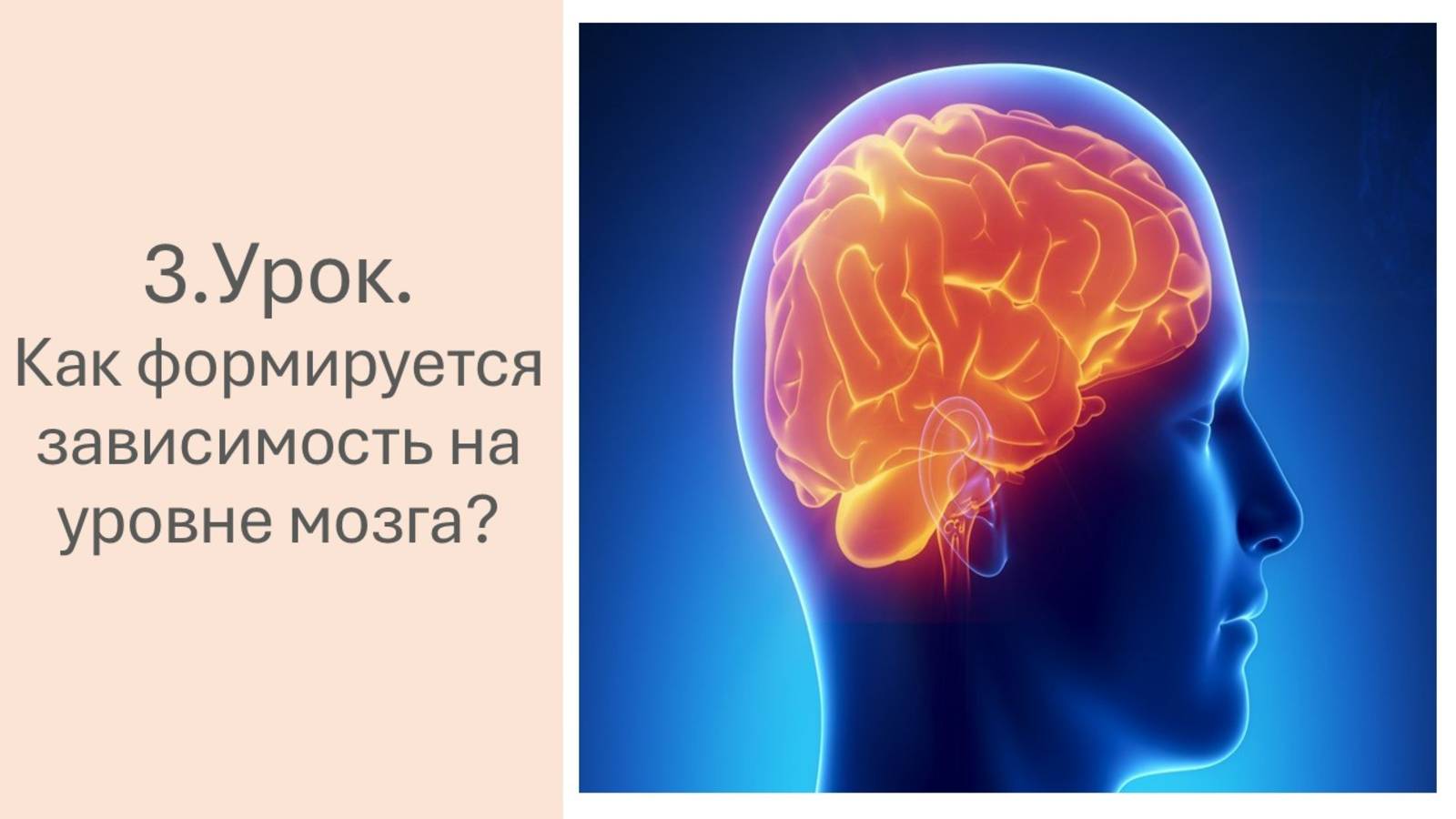 3 урок. Как формируется зависимость на уровне мозга.