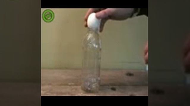 Как засунуть яицо в бутылку.3gp