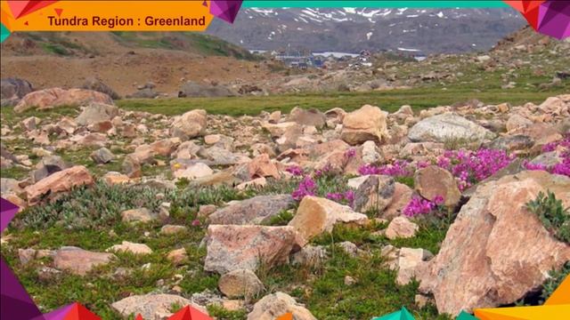 ch5 Tundra Region Green land