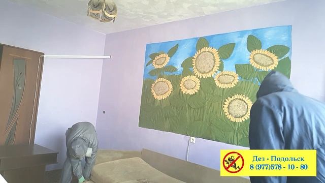 Избавиться от клопов холодный туман