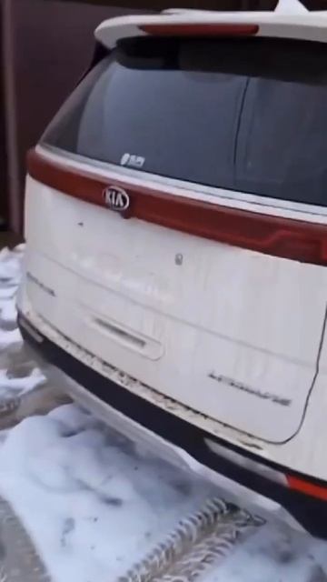 ОТЗЫВ О KIA CARNIVAL 4 2.2D AT SIGNATURE LIMOUSINE 7-МЕСТ для Дмитрия из Орловской обл.