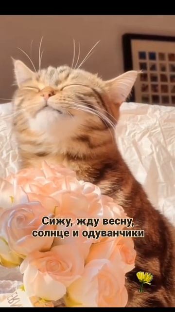 А вы?😍