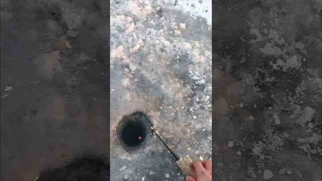 1000046886.mp4