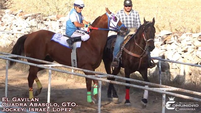 🔥El Gavilan C. Abasolo Vs. Justiciero C. Jalisco🔥 Carril Arturo Padilla, JAL.