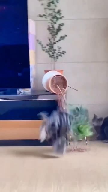 🌿 Юмор который просто есть

https://t.me/Qubitics