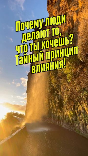 Почему люди делают то, что ты хочешь Тайный принцип влияния