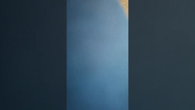 Лилия фёдоровка 1 ч