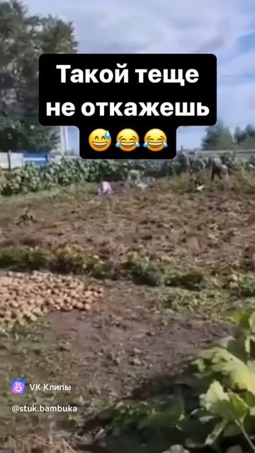 clip-216384141_456239198