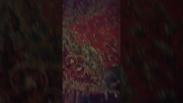 VID_20250217_224725.mp4