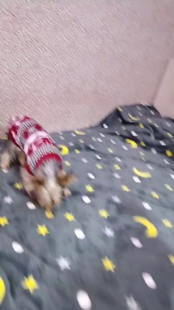 1000078822.mp4