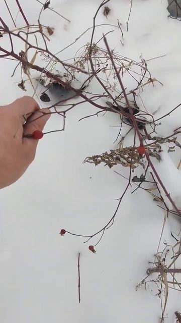 ВРАГУ БЫ НЕ ПОЖЕЛАЛ ТУТ ПОБЫВАТЬ