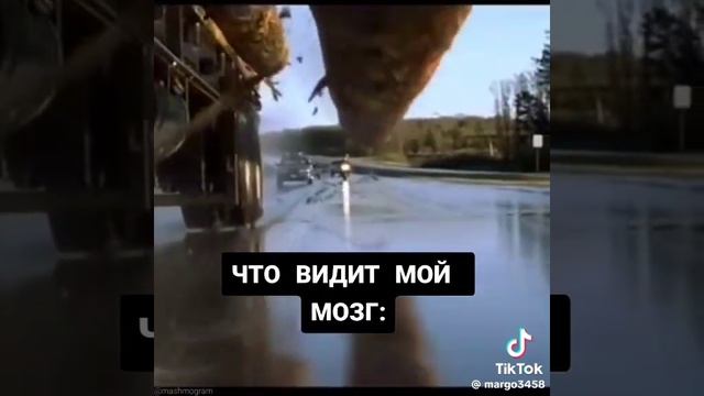 што вижу я  и мой мозг