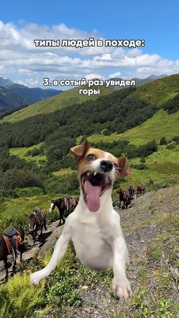 типы людей в походе