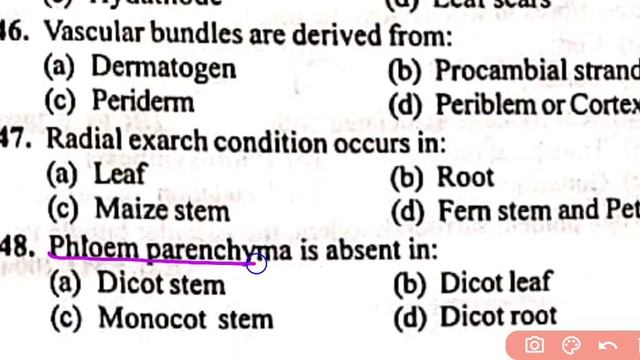 Plant Anatomy Class 11 || Plant Tissue MCQ || NEET 2024 || Part 3