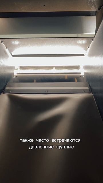 Как фотосепаратор помогает в подготовке семенного материал?