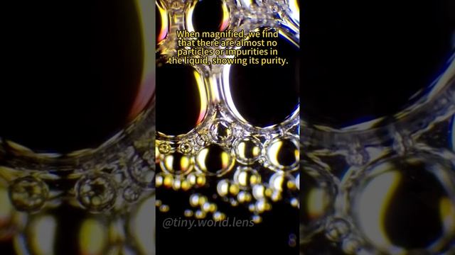 #наука #микроскоп #интересно #подмикроскопом #микромир