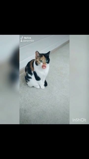 Нюша