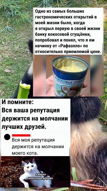 Лучшие МЕМЫ смотри коммент #memes #fyp #youtube #shorts #юмор #приколы #мем #мемы #смешныевидео