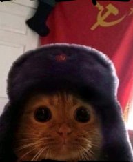 играю в роблокс