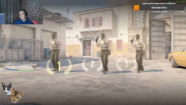 Нубский фейсит #faceit #cs2
