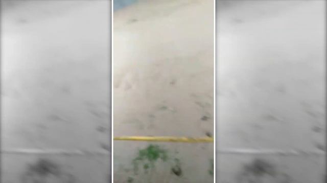 БАДАМ Р, ТӨЛЕБИ АУДАНЫ СУ ТАСКЫНЫ ⭕️НАВОДНЕНИЕ ТОЛЕБСКОГО РАЙОНА 😱😱😱