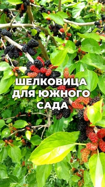 Читай в описании