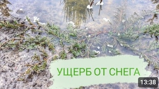 УЩЕРБ ОТ СНЕГА. 19.12.23г. БЕЛАРУСЬ, ГОМЕЛЬСКАЯ ОБЛАСТЬ