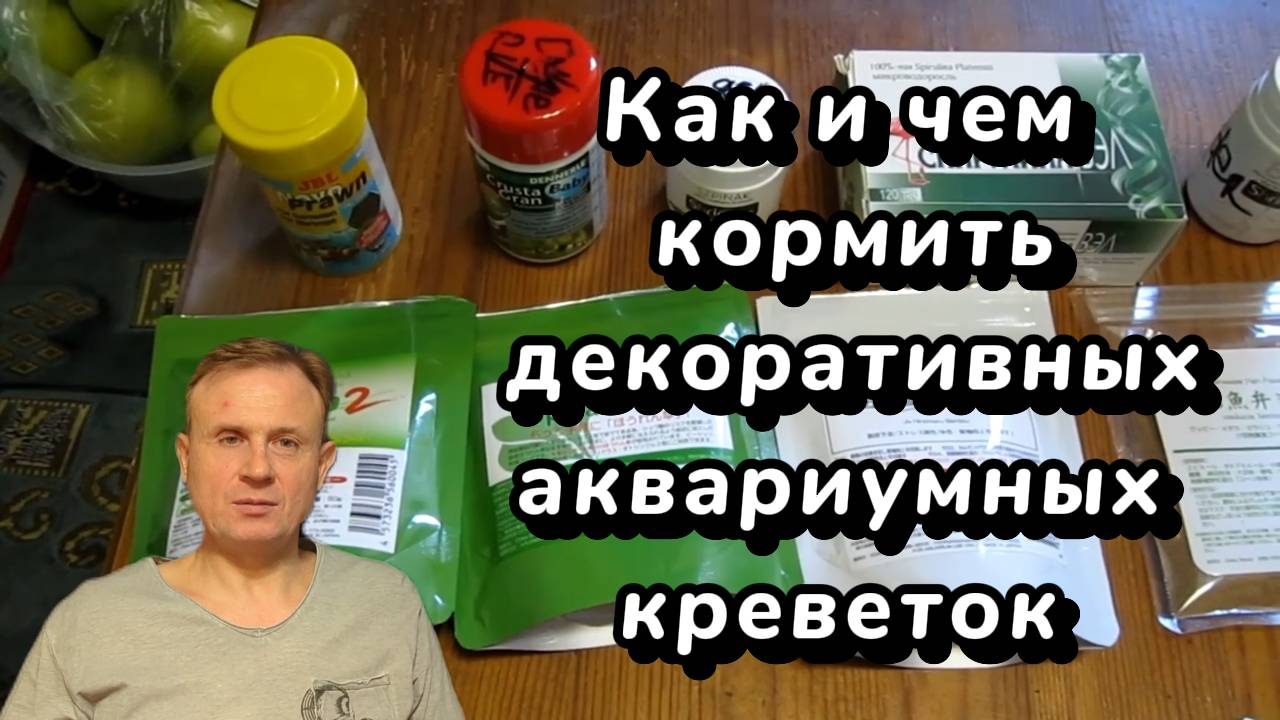 Как и чем кормить декоративных аквариумных креветок