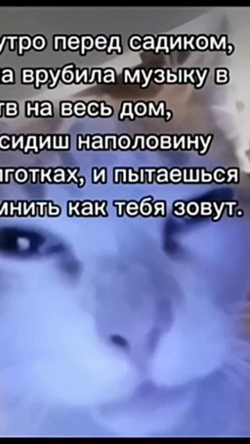 scene_output.mp4