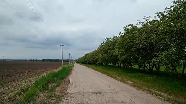 Полевая дорога и вдали на поле трактор МТЗ.