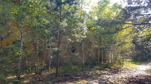 ГСВГ. Цветущий каштан у гауптвахты в/ч50346,50319,47279, Altes Lager 20.05.2023