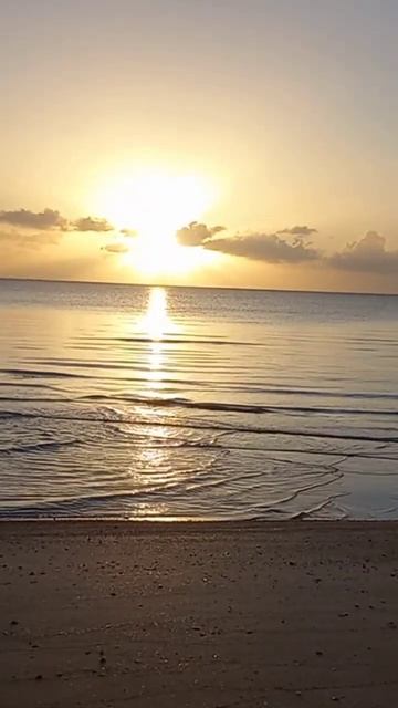 Sand, sea & sunset🇧🇸 #eleuthera #shorts #sunset #beach #bahamas
