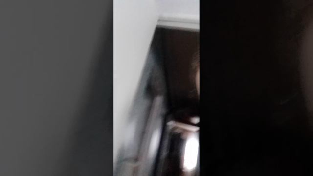 1000022559.mp4