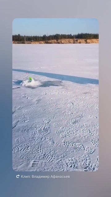 Ловля судака в Феврале