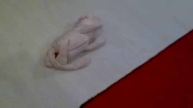 Чумовой поросенок 1