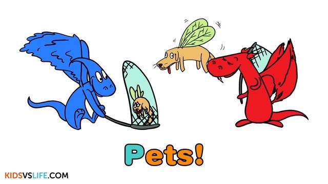 Phonics - Pp