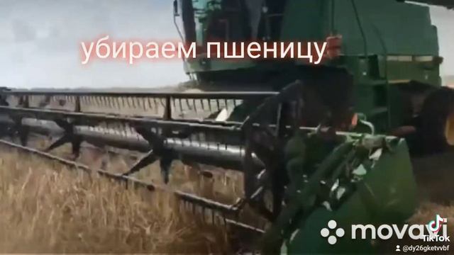Убираем пшеницу