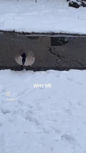 1000059674.mp4