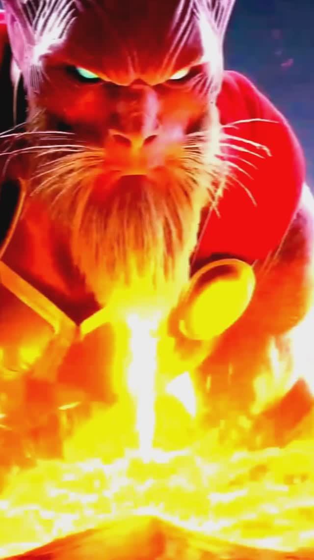 Beerus+Thor.