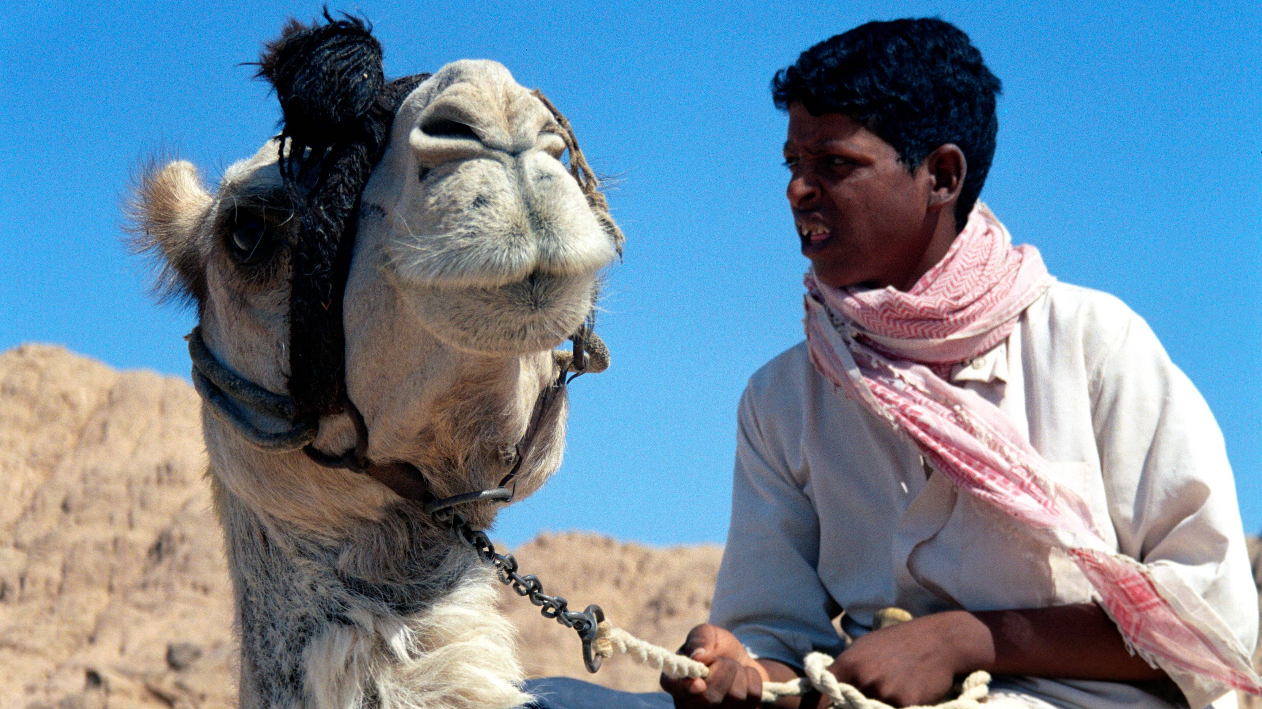 Egypt 2005 2