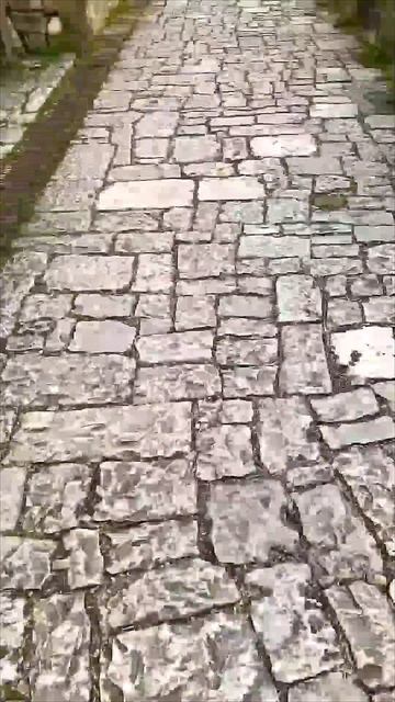 Душевное путешествие по Абхазии📍Озеро Рица, Юпшарский каньон, Новый Афон, водопады и другие символы