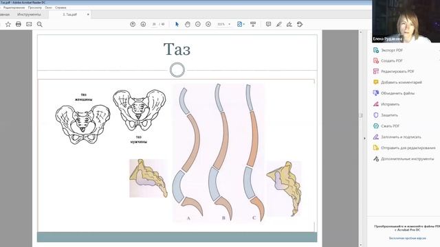 5.Кости таза.Бедро.ТБС.Связки 2025.01.10