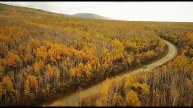 Соробей и Вотрин - Артель ЮСМО 2017