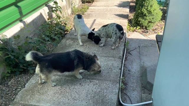 Ура !!! наконец я запустил фонтан…