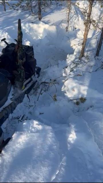 Снегоступы как ходить. нужны ли снегоступы