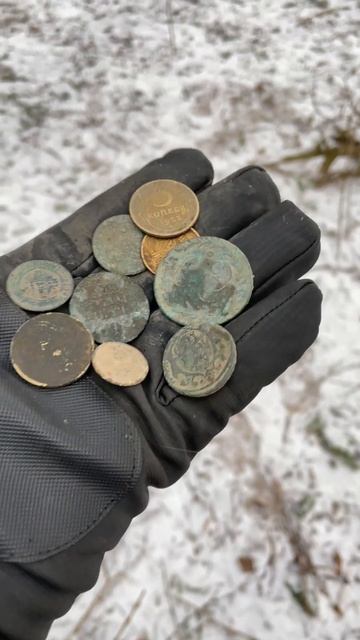 Руку Выбил. Вот это мы покопали #поисквлесу #metaldetecting